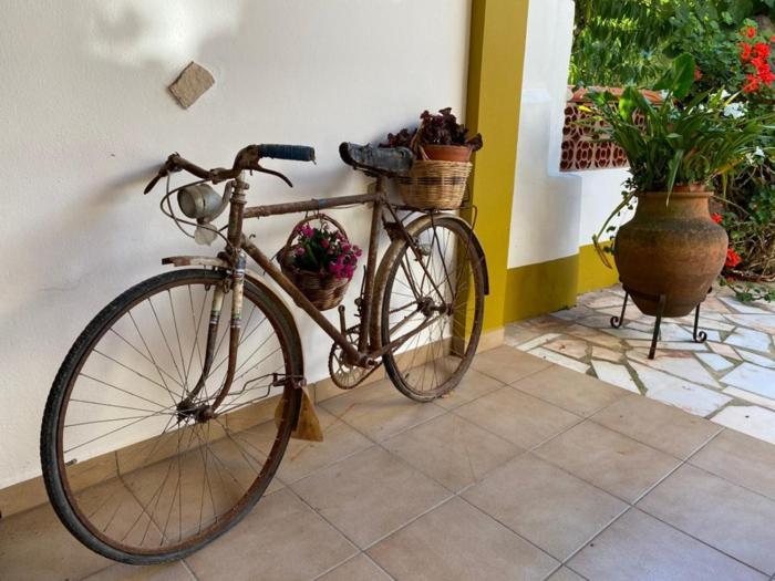 Apartmán Casinha Da Avo Rosario Juncal  Exteriér fotografie