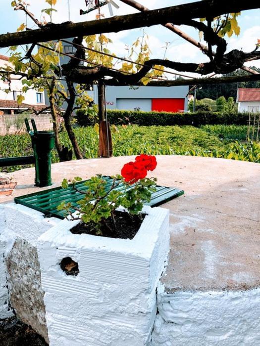 Apartmán Casinha Da Avo Rosario Juncal  Exteriér fotografie